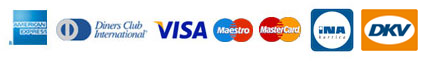 American Express, Diners Club, Visa, Maestro, Mastercard, INA kartica, DKV